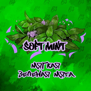 B3Soft Mint