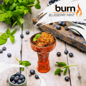 BurnBlueberry mint