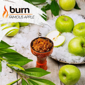 BurnFamous Apple