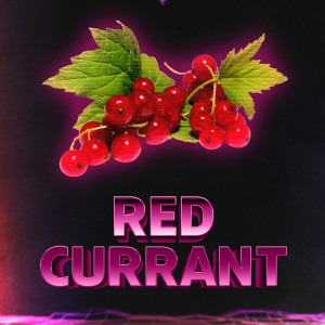DuftRed Currant