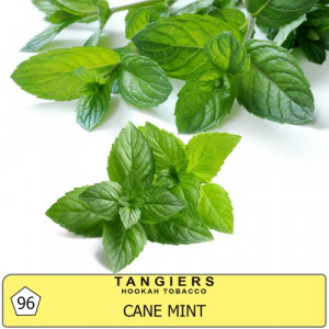 TangiersCane Mint