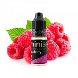 Mini SaltRaspberry