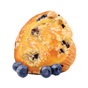 FumariBlueberry Muffin