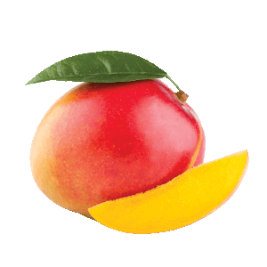 FumariTropical Mango