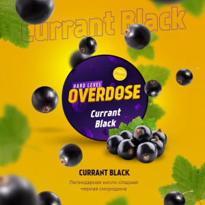 OverdoseCurrant Black