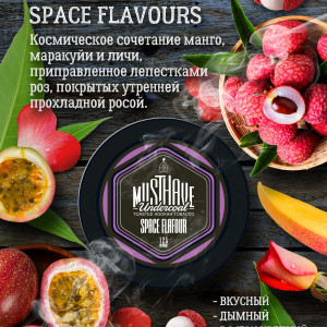 Must HaveSpace Flavour